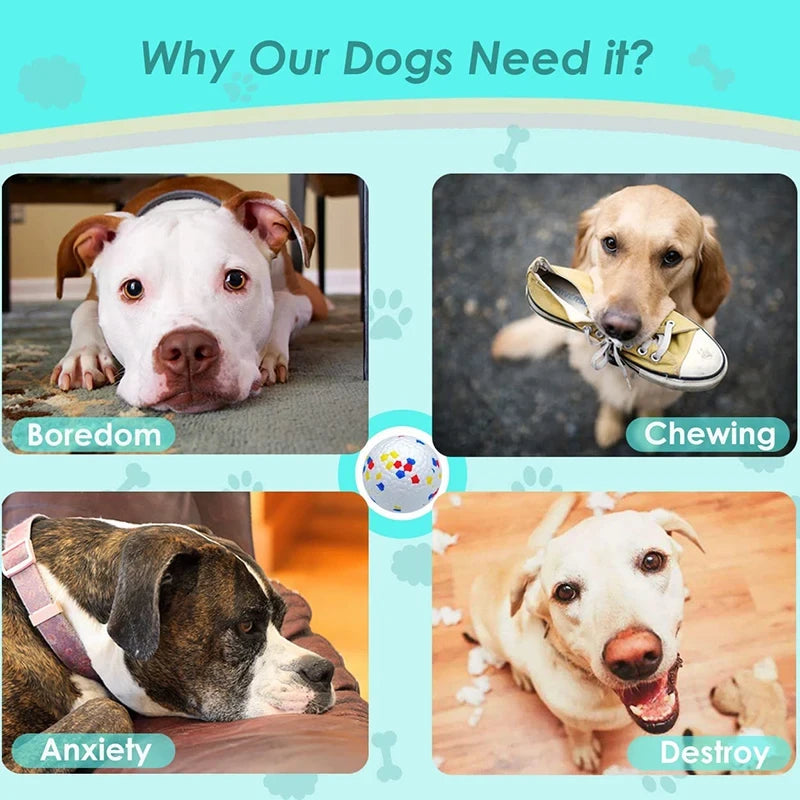 Bite Resistant Solid Dog Ball Toys for Small Large Dogs High Elasticity E-TPU Pet Chew Ball Toy Non Squeak Interactive Puppy Toy pawcraft