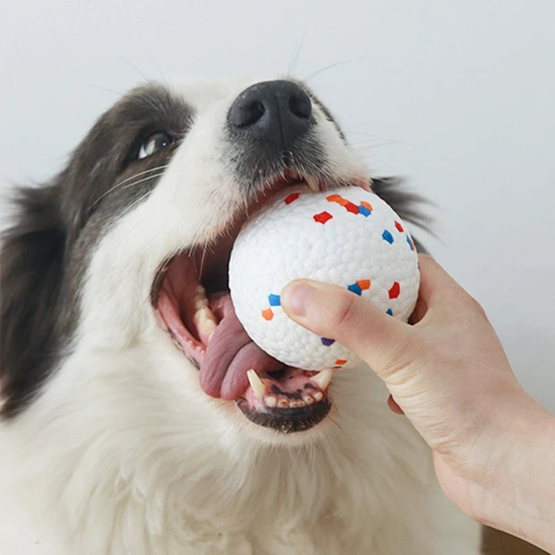 Bite Resistant Solid Dog Ball Toys for Small Large Dogs High Elasticity E-TPU Pet Chew Ball Toy Non Squeak Interactive Puppy Toy pawcraft