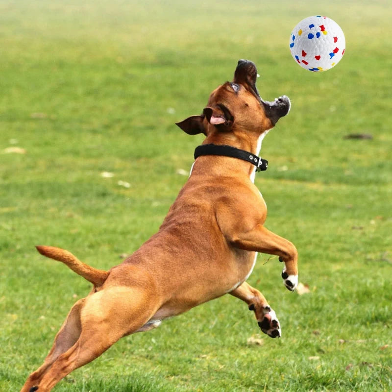 Bite Resistant Solid Dog Ball Toys for Small Large Dogs High Elasticity E-TPU Pet Chew Ball Toy Non Squeak Interactive Puppy Toy pawcraft