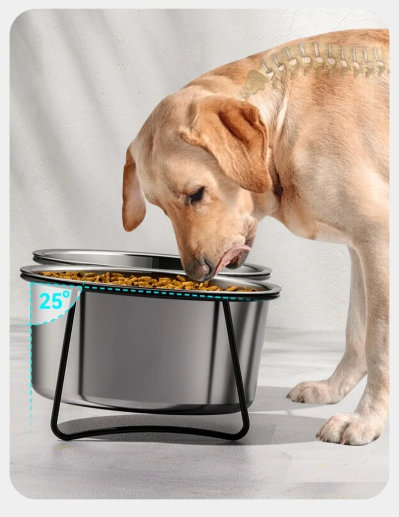 Elevated Stainless Steel Slow-Feeding Dog Bowl pawcraft