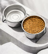 Elevated Stainless Steel Slow-Feeding Dog Bowl pawcraft