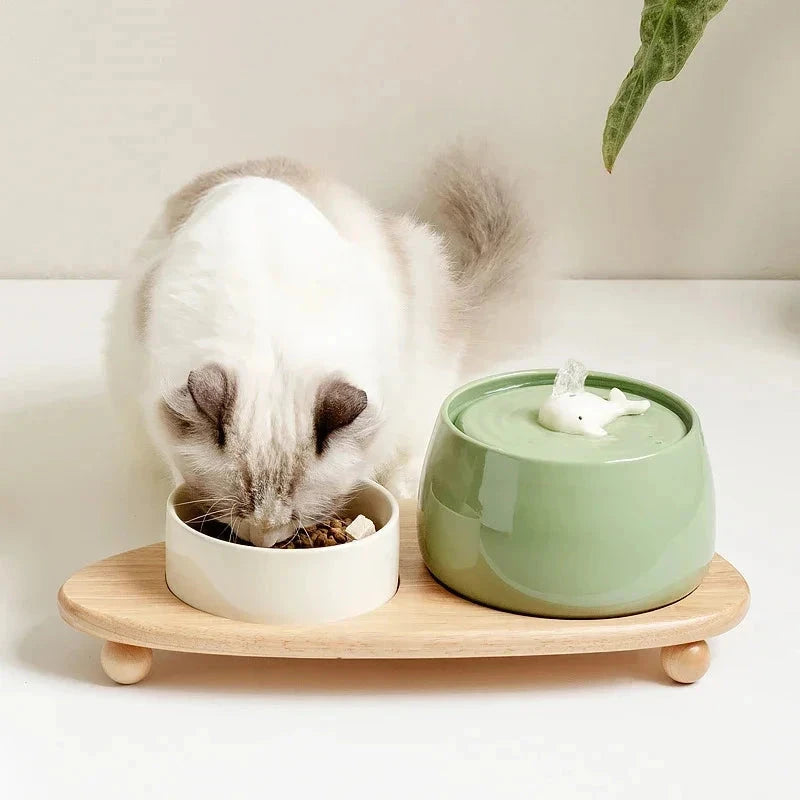 Ceramic Cat Water Fountain pawcraft