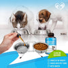 Kennel Cough Treatment Natural Infection Medicine For Dogs And Cats Respiratory Colds Cough Relief Collapsed Trachea And Cat Asthma Support pawcraft