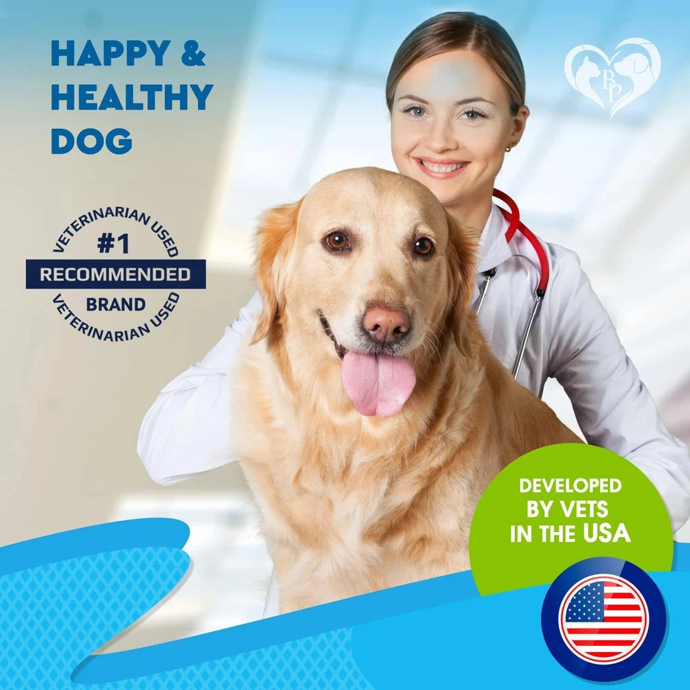 Kennel Cough Treatment Natural Infection Medicine For Dogs And Cats Respiratory Colds Cough Relief Collapsed Trachea And Cat Asthma Support pawcraft