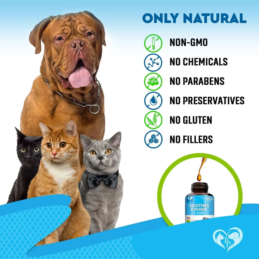 Kennel Cough Treatment Natural Infection Medicine For Dogs And Cats Respiratory Colds Cough Relief Collapsed Trachea And Cat Asthma Support pawcraft