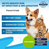 Kennel Cough Treatment Natural Infection Medicine For Dogs And Cats Respiratory Colds Cough Relief Collapsed Trachea And Cat Asthma Support pawcraft