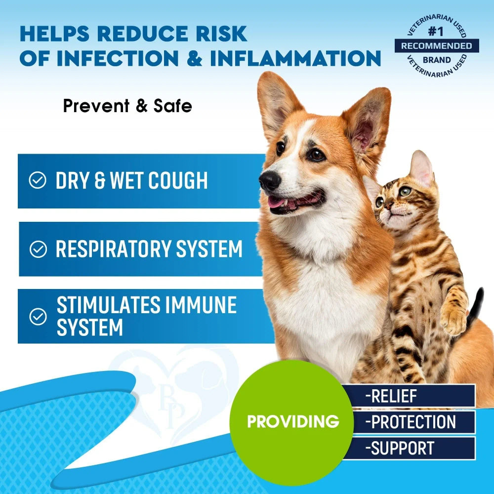 Kennel Cough Treatment Natural Infection Medicine For Dogs And Cats Respiratory Colds Cough Relief Collapsed Trachea And Cat Asthma Support pawcraft